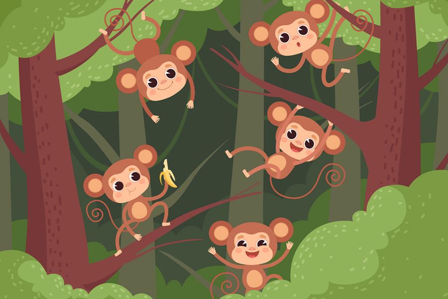 قوانین نظریه میمون ها