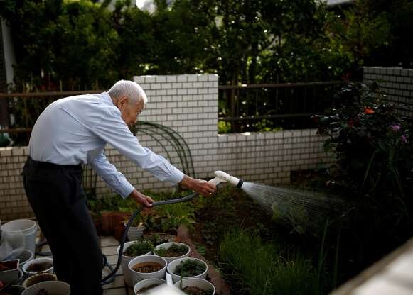 یافتن ایکیگای در زندگی حرفه ای